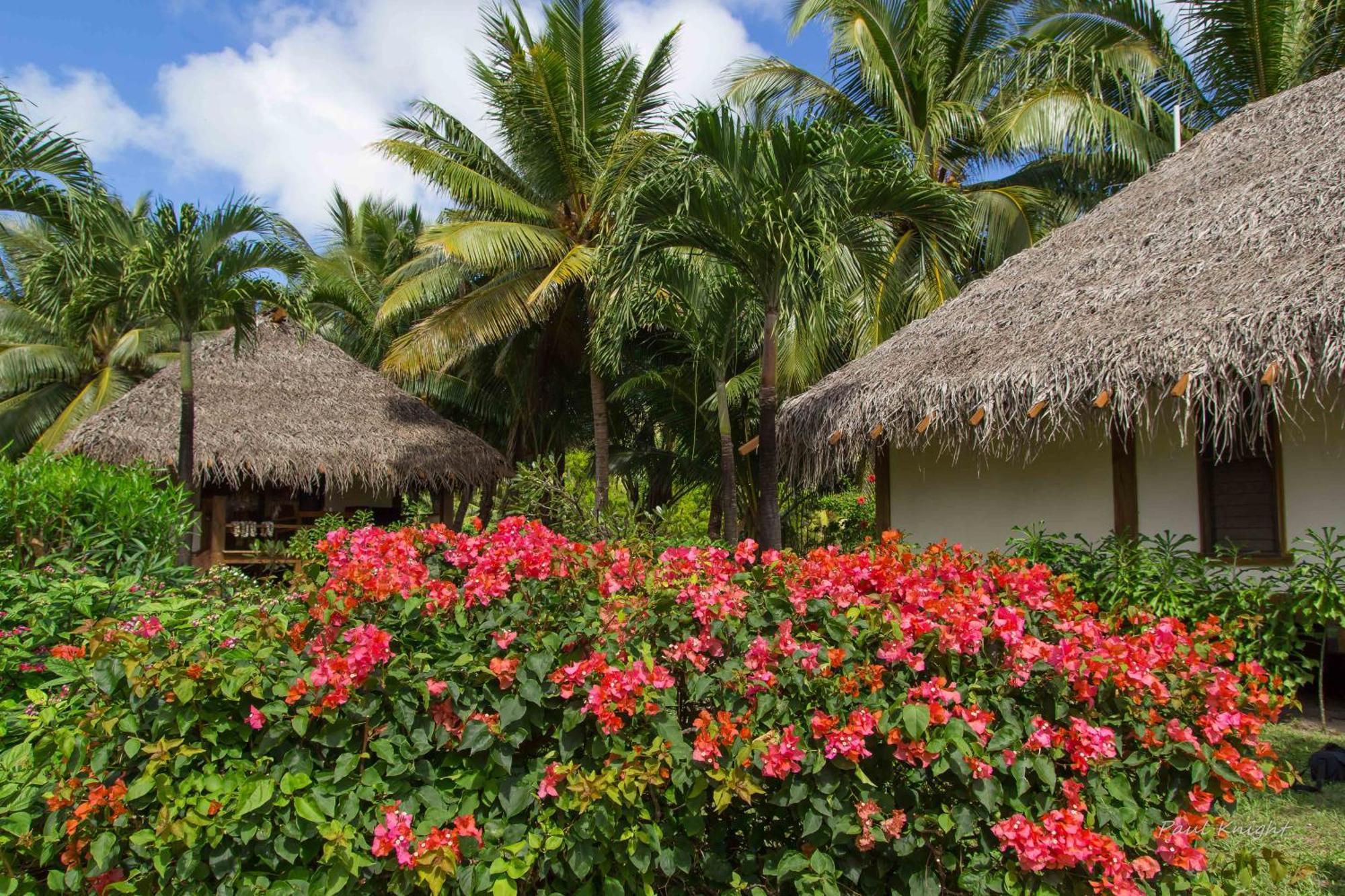 Etu Moana Boutique Beach Villas - Adults Only Arutanga Exterior photo